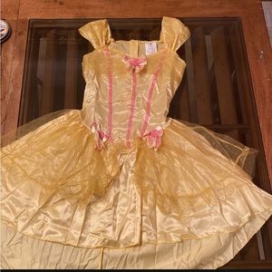 Princess Belle Costume